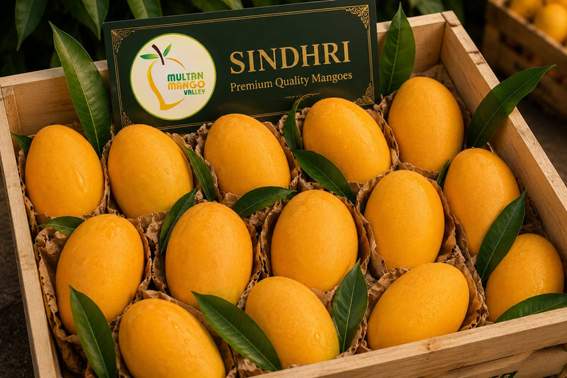Sindhri Mango