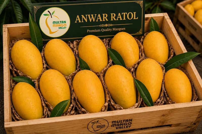 Anwer Ratol